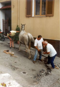Ambulanter Schmied - 1990 Castelsardo